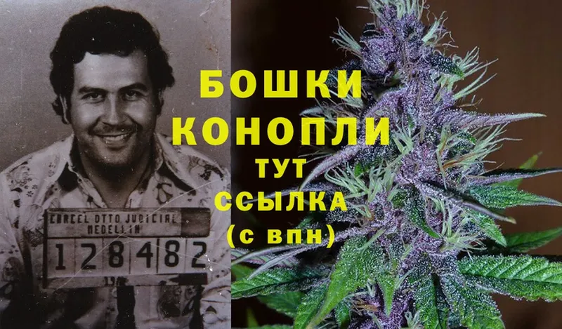 Бошки Шишки SATIVA & INDICA  Вельск 